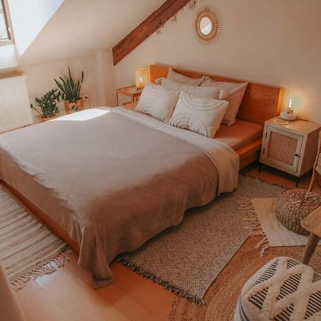 Cozy Apartment In The Heart Of The Historic City 브라티슬라바 외부 사진